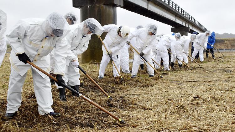 Polizeibeamte suchen an einem Flussufer in der Präfektur Fukushima nach den Überresten von Menschen, die seit dem schweren Erdbeben und dem Tsunami 2011 verschollen sind.