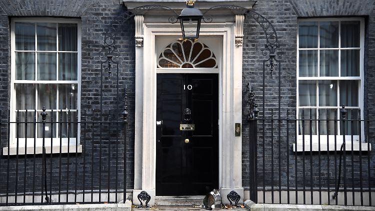 Downing Street No. 10: Die britische Regierung stolpert über die Aussagen eines Beraters. 