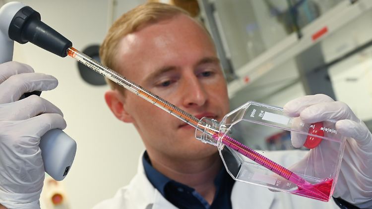 Die Virologen der Uni Marburg sind an der Entwicklung eines Impfstoffs gegen den Lungen-Erreger beteiligt.