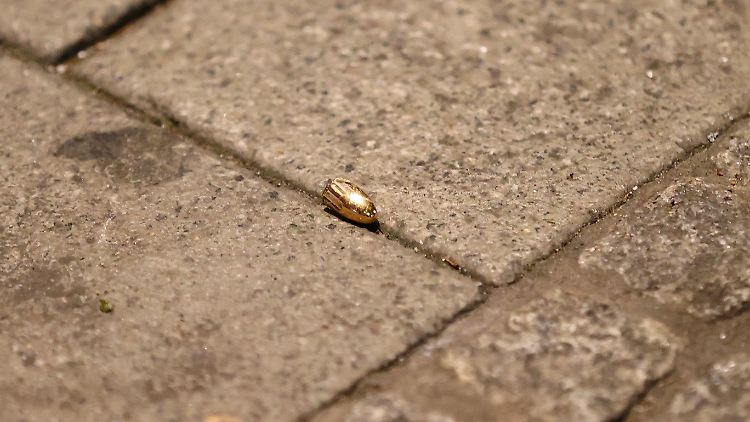 Der mutmaßliche Täter ermordete an mehreren Tatorten zehn Menschen.