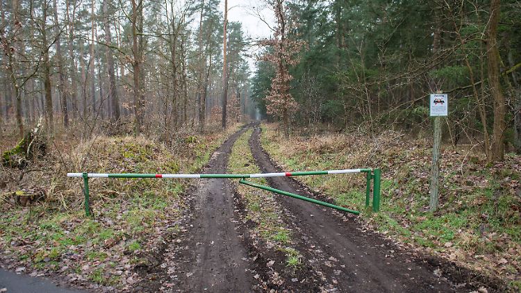 Es darf wieder geholzt werden in Grünheide. 