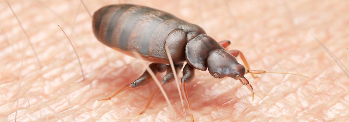 imago87645573h.jpg
