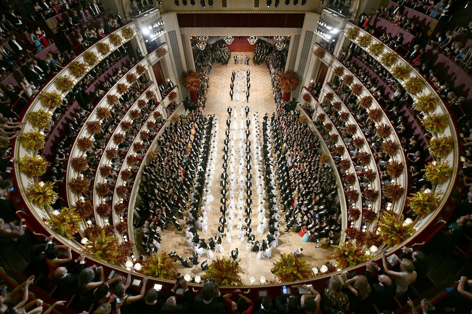 So sieht es aus, wenn es beim Wiener Opernball zur Sache geht.