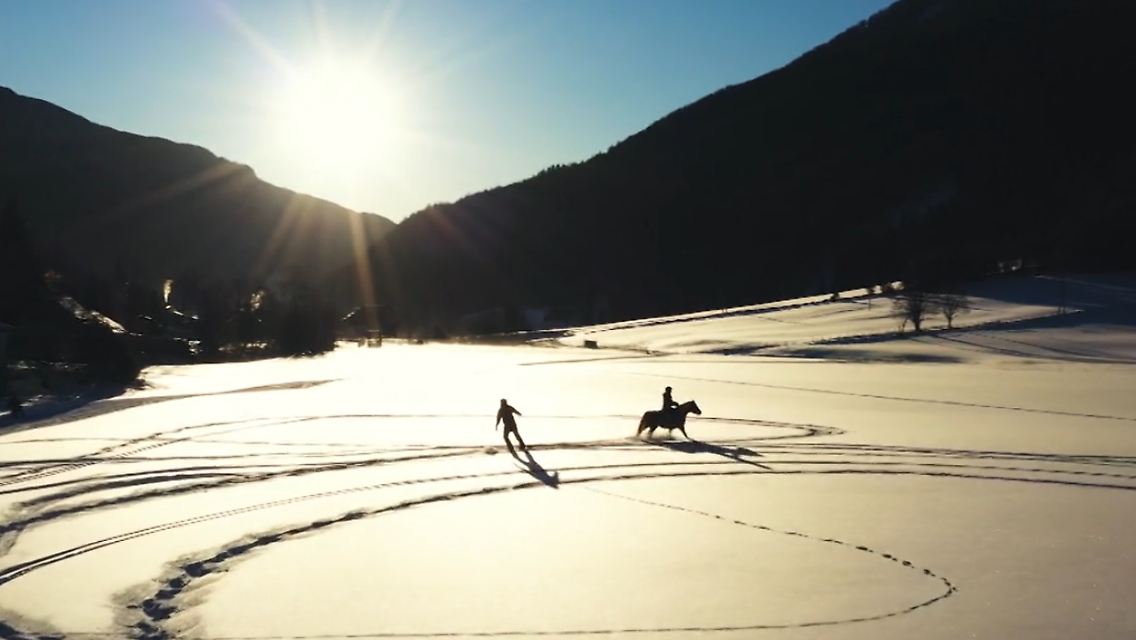 Skijöring.jpg
