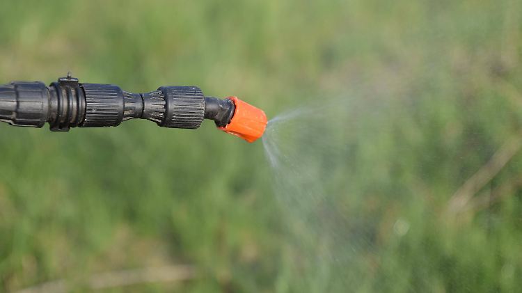 Glyphosat sei nur bei "sachgemäßer Anwendung" sicher, sagt Grünen-Agrarexperte Ebner. Fehlanwendungen könnten die eigene Gesundheit und die Umwelt gefährden.
