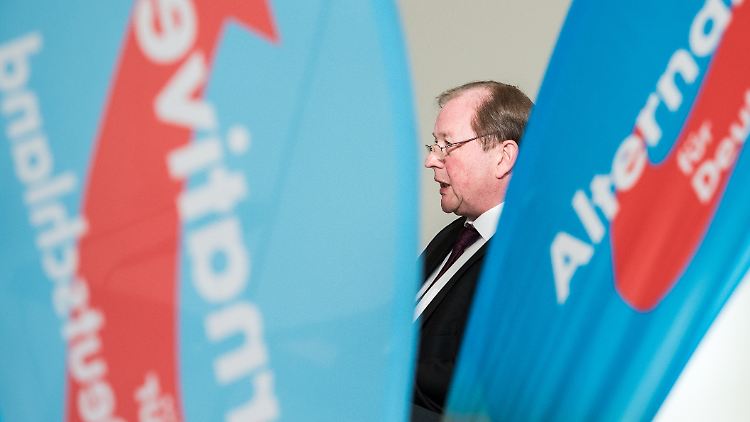 Der AfD-Landeschef Dirk Nockemann fand in Hamburg kein leichtes Pflaster vor.