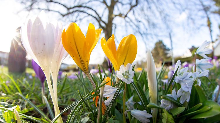 Hohe Temperaturen sind für manche Viren-Arten schlechte Bedingungen. 