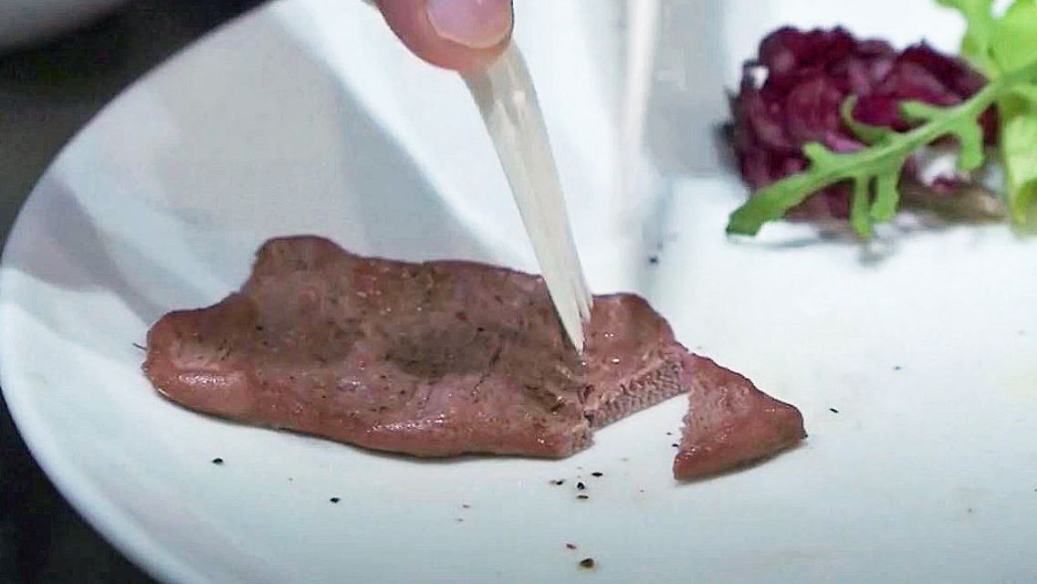 Fleischimitat aus dem 3D-Drucker 2.JPG