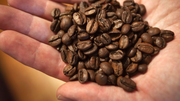 In Brasilien startet die Kaffee-Ernte im Mai.