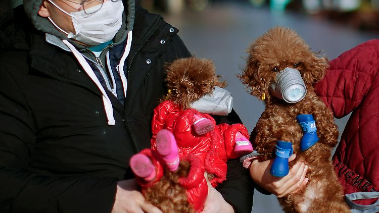 Diese Hundebesitzer lassen auch bei ihren Haustieren Vorsicht walten.
