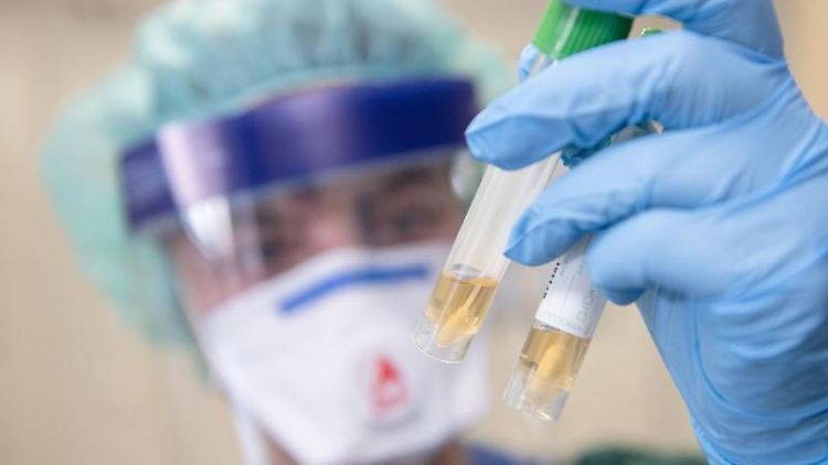 Eine Krankenschwester betrachtet in Schutzkleidung und mit einer Atemmaske zwei Abstrichröhrchen. 