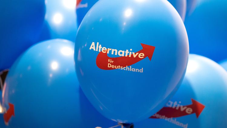 Die AfD verabschiedet voraussichtlich auf einem Sozialparteitag im April ihr Rentenkonzept.