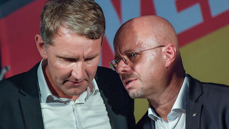 Verfassungsschutzchef Haldenwang hat die AfD-Politiker Höcke und Kalbitz als Rechtsextremisten bezeichnet.