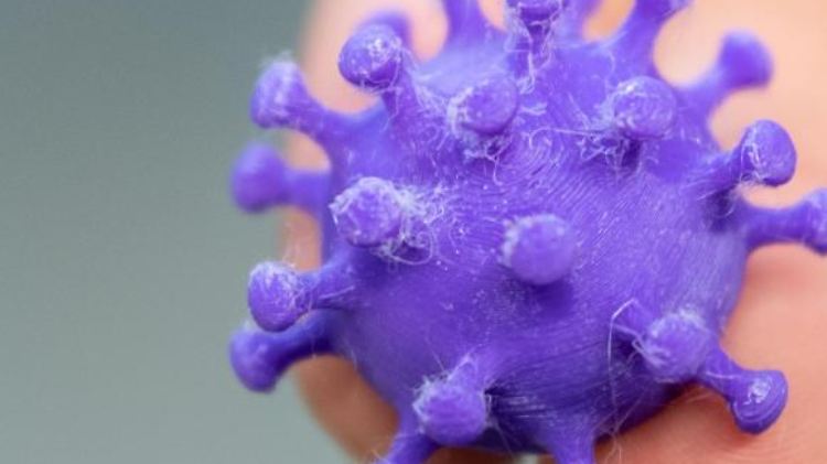 Eine medizinisch-technische Assistentin hält auf zwei Fingern einen 3D-Druck eines Coronavirus. Foto: Robert Michael/dpa