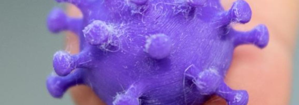 Eine Medizinisch-technische Assistentin hält auf zwei Fingern einen 3D Druck von einem Coronavirus. Foto: Robert Michael/dpa-Zentralbild/dpa/Archivbild