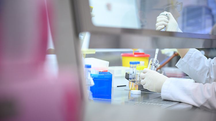 Immer mehr Tests auf Covid-19 werden angefragt. Der PCR-Test bleibt der sicherste.