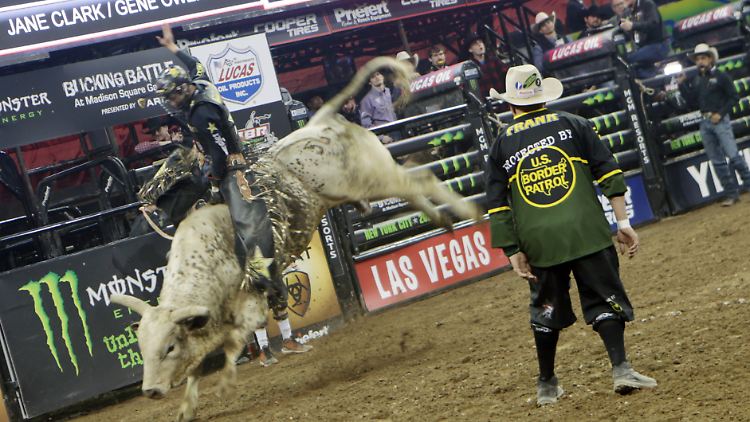 Bullenreiten ist ein ur-amerikanischer Sport - und findet tatsächlich noch statt.