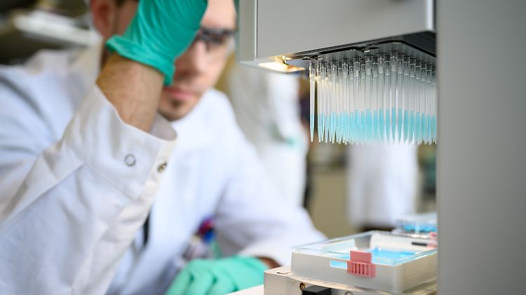 Bislang arbeitet Curevac an Mitteln gegen Tollwut, Lassafieber oder Gelbfieber.