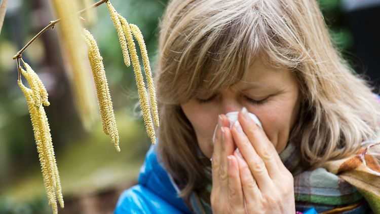 Kann man die Symptome einer Pollenallergie mit denen von Covid-19 verwechseln? Dr. Specht hält das für unwahrscheinlich.