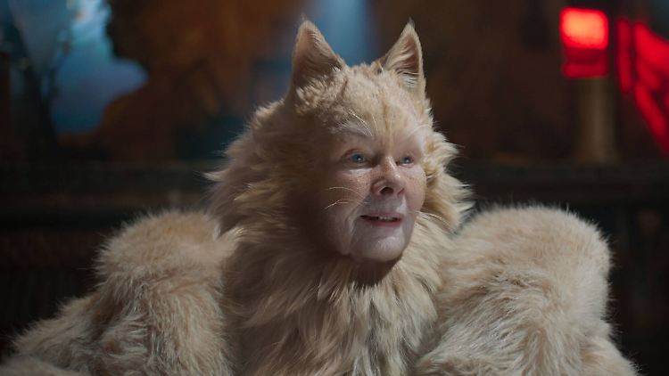 Der Anblick von Judi Dench als Katze verzückte die Kinokritiker nicht.