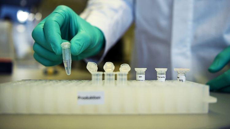 "Es kann auch sein, dass es nicht wirkt oder sogar schadet", sagt Institutsdirektor Kremsner über Chloroquin.