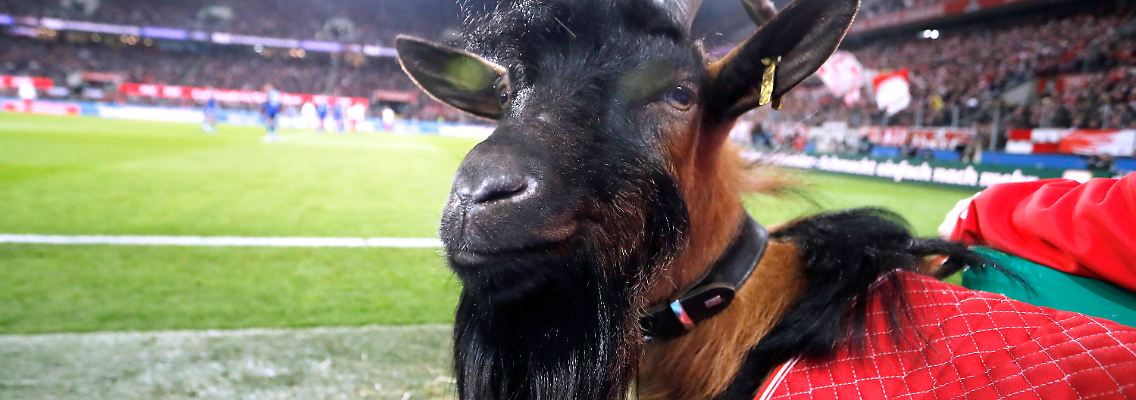 Glückwunsch an Hennes den Neunten!