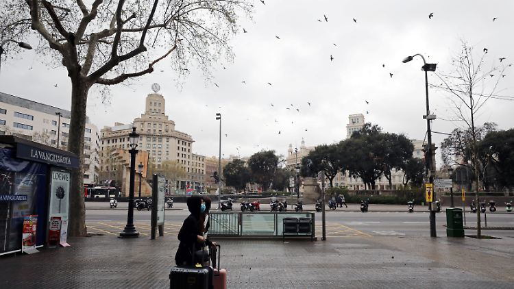 Die fast menschenleeren Plätze Barcelonas ziehen derzeit nicht nur Vögel an.