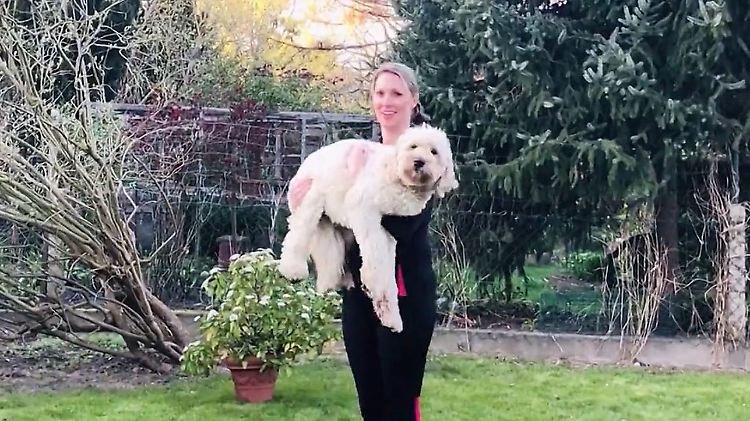 Sportredaktion Hund fitness.JPG