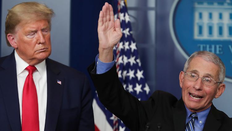 Der Präsident und der Experte: Trump und Fauci auf einer Pressekonferenz.
