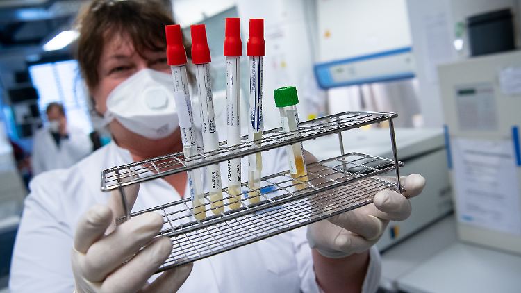 Viele Schnelltests werden aus Sicht von RKI-Chef Wieler gebraucht.