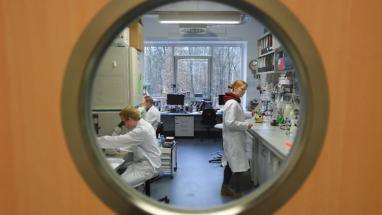 Mehrere Forscherteams arbeiten mit Hochdruck an einem Impfstoff gegen das Coronavirus.