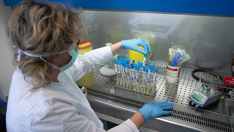 Bisher müssen Coronavirus-Tests meist aufwendig im Labor ausgewertet werden.