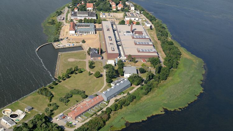Das Institutsgelände erstreckt sich über fast die gesamte Insel Riems im Greifswalder Bodden.