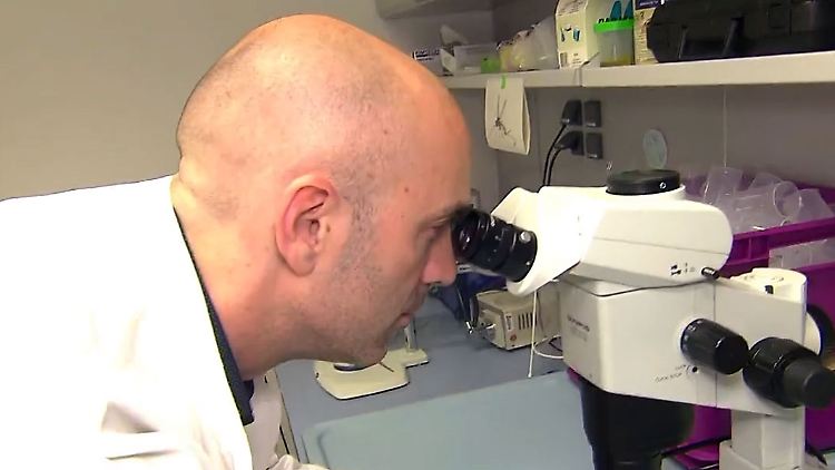 Studie soll Erkenntnisse über Coronavirus liefern.jpg