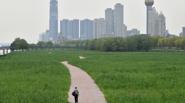 Offiziell sind 2535 Menschen dem Coronavirus in Wuhan zum Opfer gefallen, für ganz China meldeten die Behörden mehr als 3000 Tote.