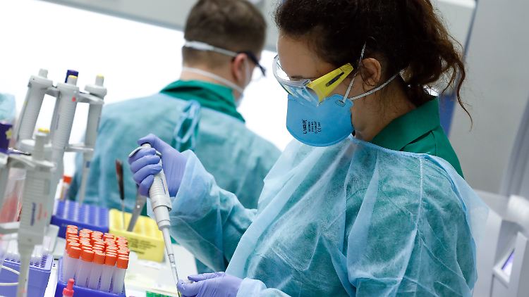 Im Labor wird die PCR-Diagnostik genutzt, um das Virus nachzuweisen.