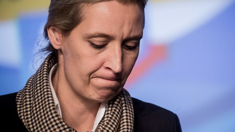 Fraktionschefin Alice Weidel nimmt die Bedrohung durch die Corona-Pandemie offenbar ernst. Andere AfD-Politiker scheinen das entspannter zu sehen.