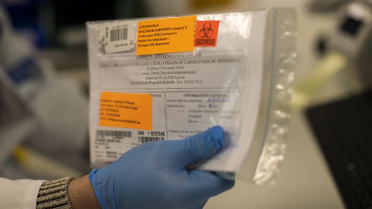 Antikörper lassen sich im Blut auch dann nachweisen, wenn die Infektion schon länger zurückliegt. (Symbolbild)