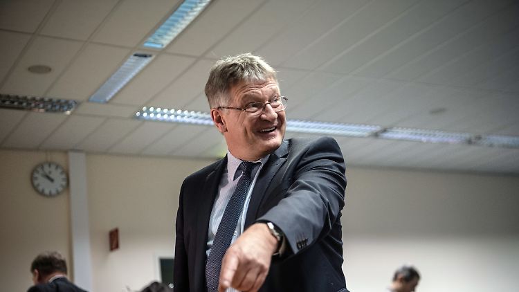 Der AfD-Vorsitzende Meuthen möchte den rechtsextremistischen Flügel der Partei loswerden.