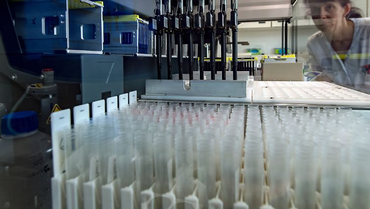 Allein im Labor in Plauen werden täglich mehr als 9000 Tests durchgeführt.