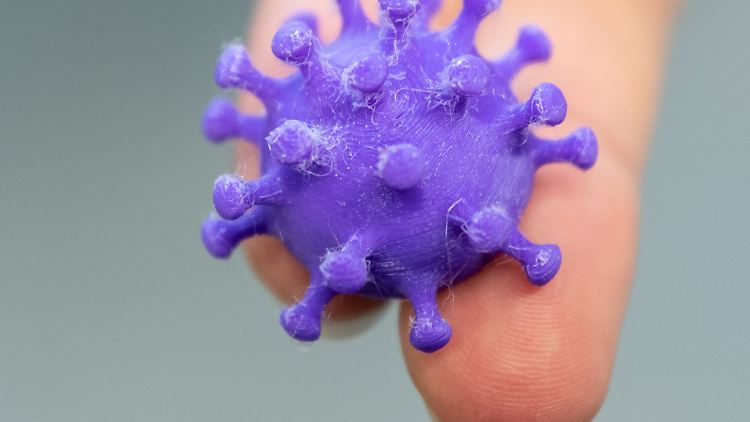 Die Antikörper, die der menschliche Körper im Abwehrkampf gegen Sars-CoV-2 bildet, lassen sich im Blut nachweisen. Im Bild ein Modell des Virus. 