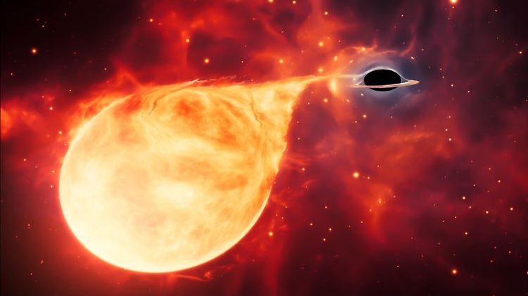 Ein Stern, der von einem Schwarzen Loch mittlerer Masse (IMBH) zerrissen wird, umgeben von einer Akkretionsscheibe. Diese dünne, rotierende Materialscheibe besteht aus den Überresten eines Sterns, der durch die Gezeitenkräfte des Schwarzen Lochs auseinandergerissen wurde.