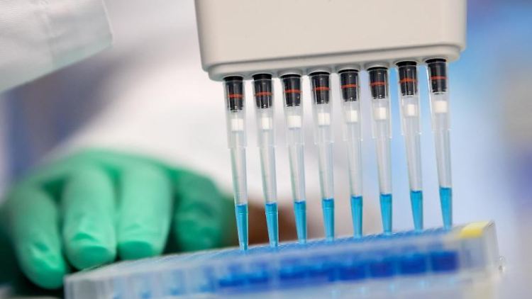 Kommt das Coronavirus in Wahrheit aus einem chinesischen Labor? China weist das zurück - so wie auch zahlreiche Wissenschaftler.