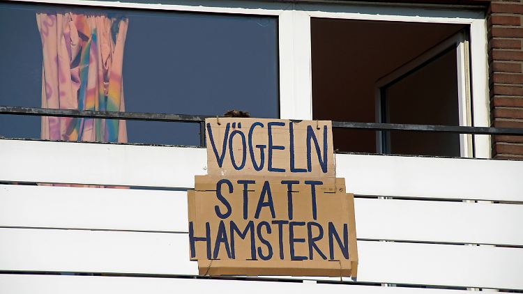 Definitiv die bessere Option.