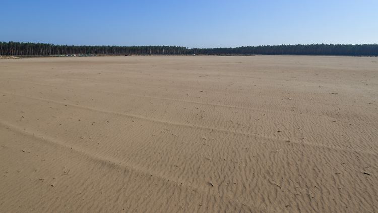 Wo einst Kiefernwald stand, befindet sich jetzt eine riesige Sandfläche auf dem Baugelände der künftigen Tesla-Fabrik.