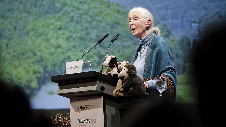 Primatenforscherin Jane Goodall gibt den Menschen die schuld an der Corona-Pandemie.