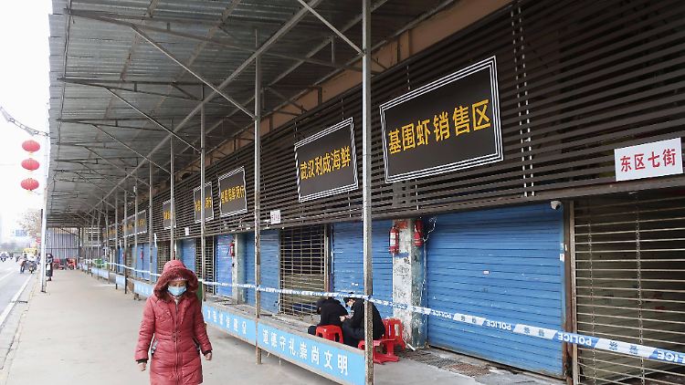 Startete das Coronavirus seinen Weg durch die Welt wirklich von einem Markt in der chinesischen Millionenstadt Wuhan?