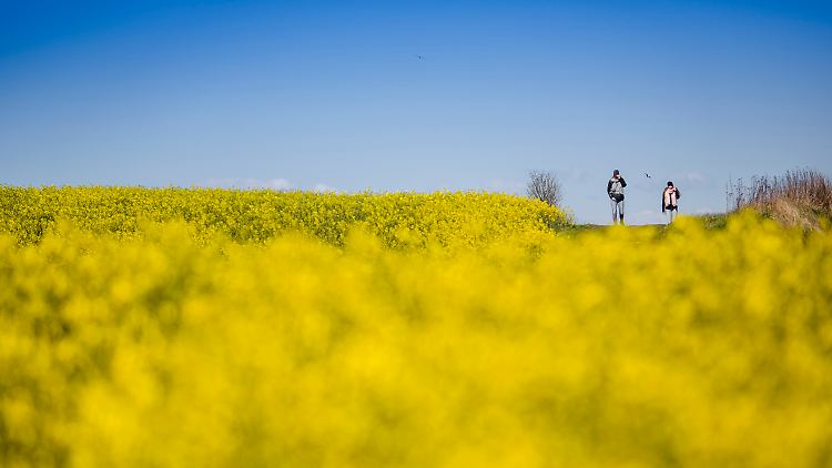 Des einen Freud, des anderen Leid: Strahlend blauer Himmel, wohin man auch schaut.