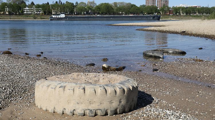 Rhein in Köln: Das trockene Wetter und fast völlig ausgebliebener Niederschlag im April sorgen derzeit für erhöhte Waldbrandgefahr. 