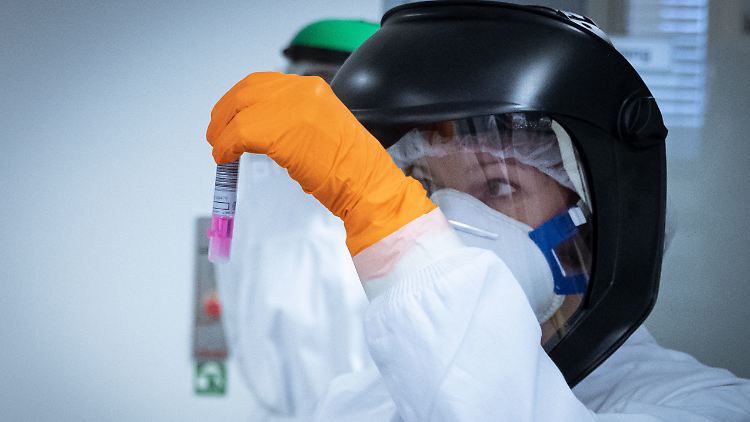 Rund 350.000 Tests werden derzeit pro Woche in Deutschland durchgeführt. Nach Angaben des Robert-Koch-Instituts sind davon sieben bis acht Prozent positiv.